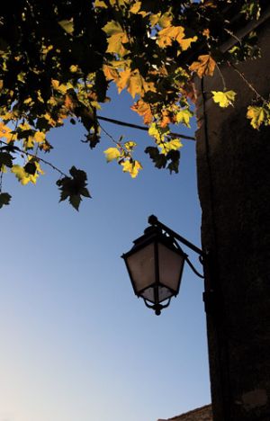 Autumn Lamp St Etienne De Sortes on Rhone River